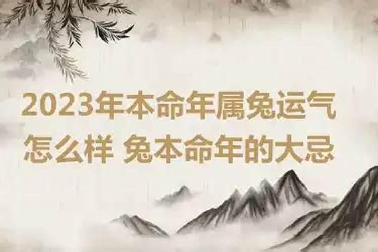 啦字五行属性是什么