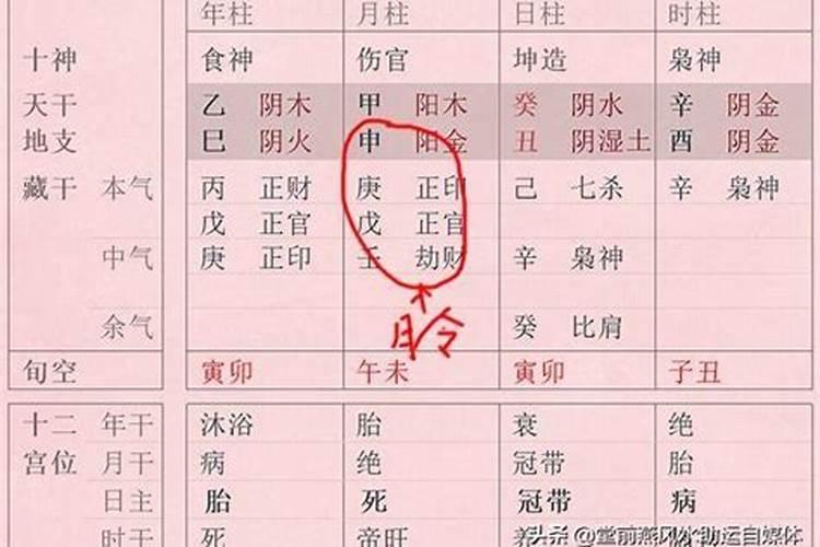 什么是八字清纯