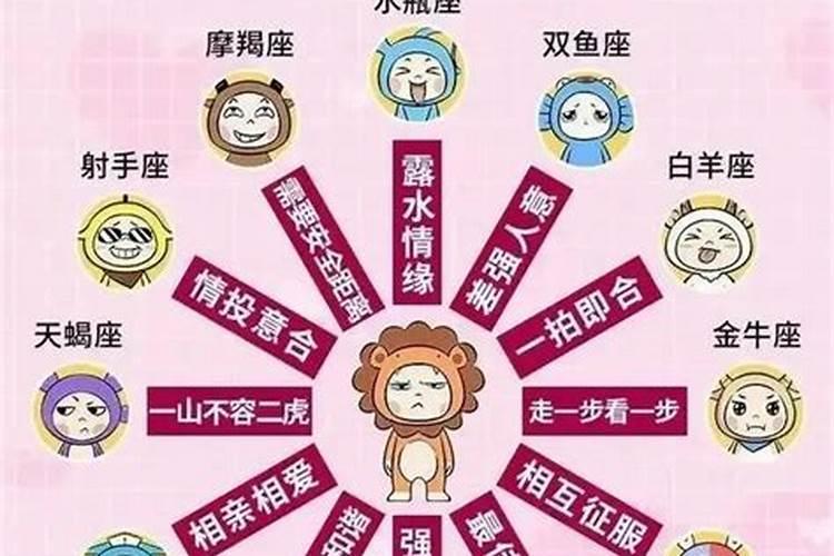 属猪的狮子座是什么命