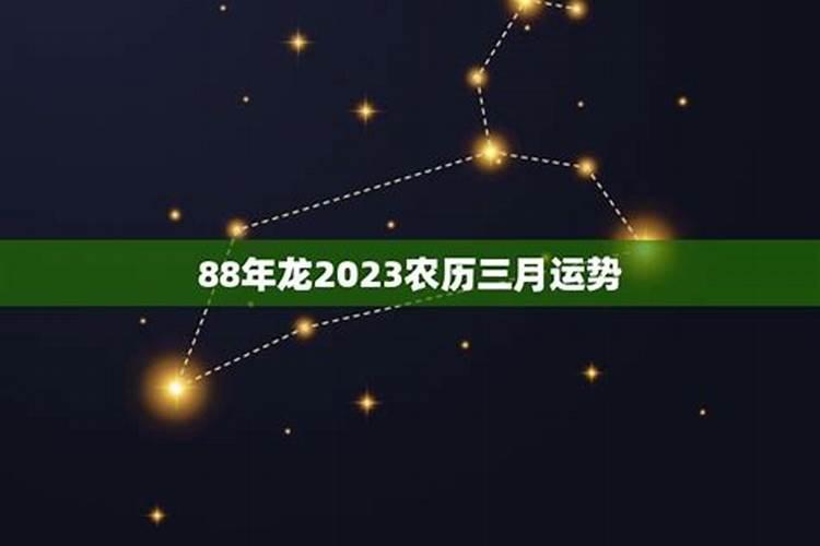 属猴的运气今年怎么样2021