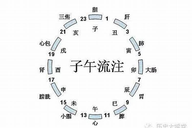 甲戌狗2023年运势