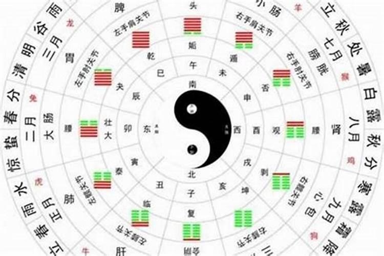 怀孕做梦梦见青蛇是什么意思周公解梦