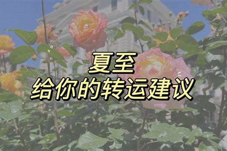 水瓶座女人爱一个人的表现