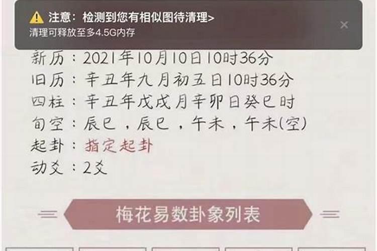 属鼠2023年运程事业