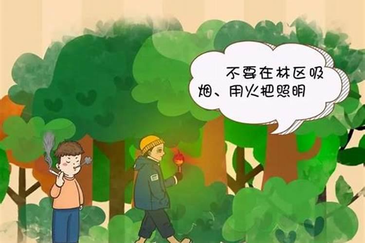 临近清明森林防火要注意