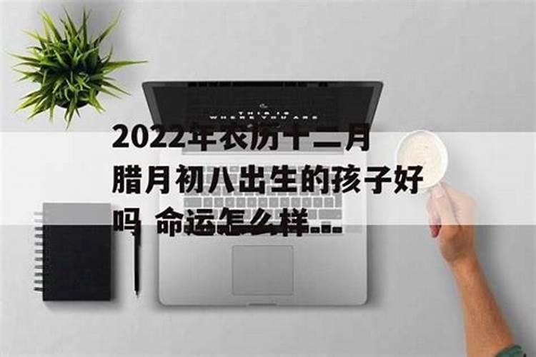 生肖狗今年的运势