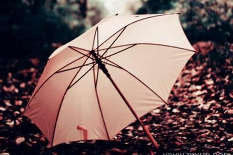 梦见雨伞是什么意思有什么预兆