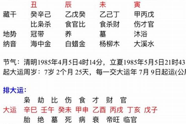 2023属鼠的运程怎么样