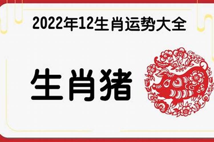 2022虎年属猪的运势怎么样