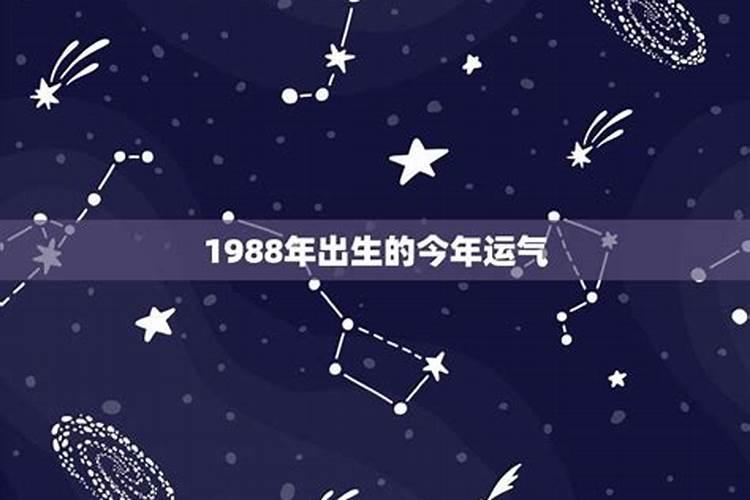 1988年六月生的今年运势