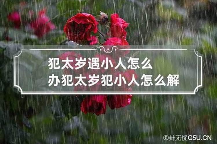 梦见从战争中死里逃生了