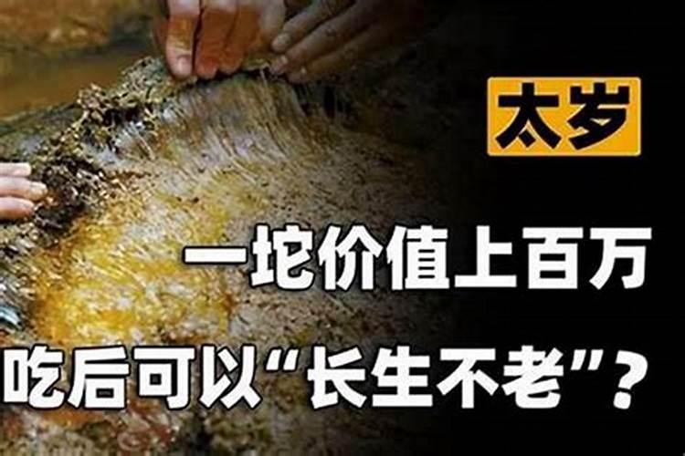 为什么没有72年属猪人的运程