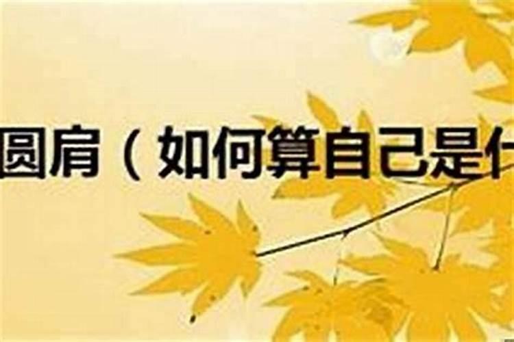 梦见自己回以前地方上班