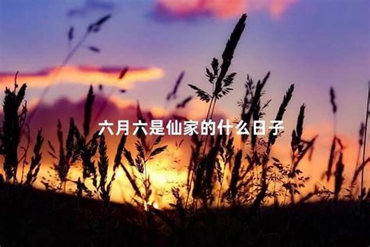 67年正月初二的羊是什么命