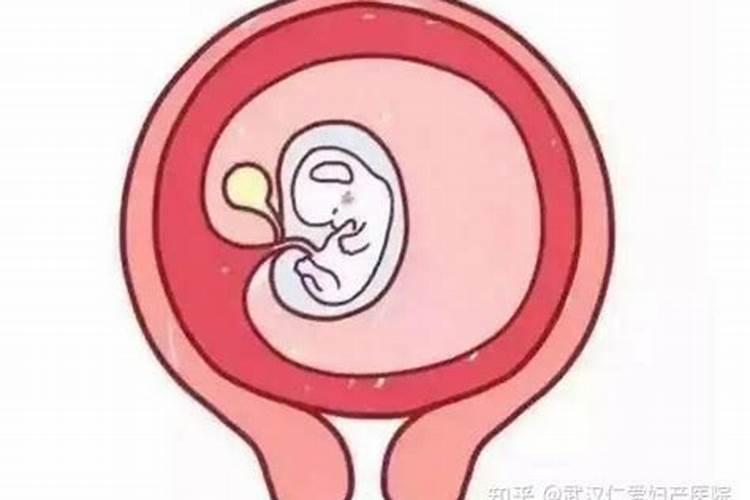 郭碧婷的生肖是什么