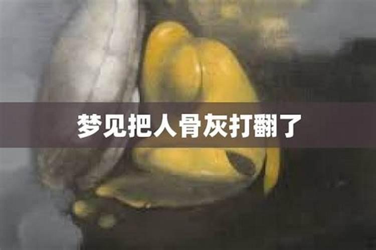 梦到骨灰了