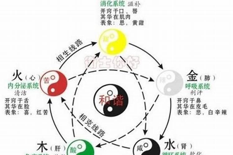 巧属于五行属什么