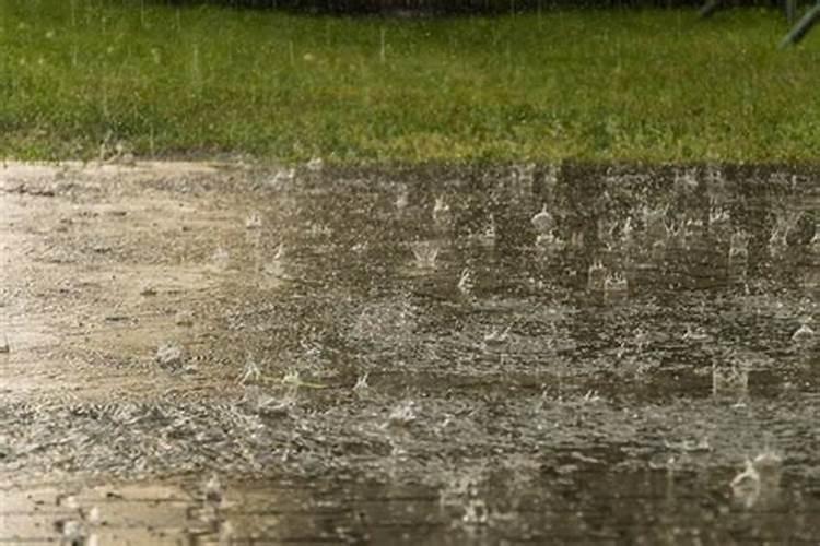 狂风大雨什么生肖