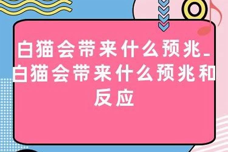 梦见上班时的领导是什么意思