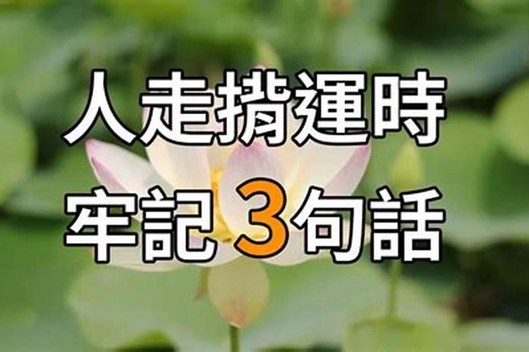 2023年属牛6月份运势怎么样