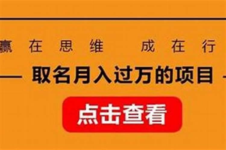 属鼠2024年整体运势及运程详解