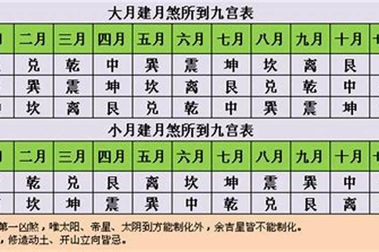 蛇和鼠属相合不合财