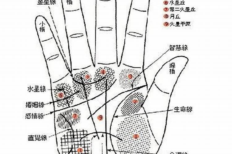 1950年属虎人的全年运势如何看出来呢