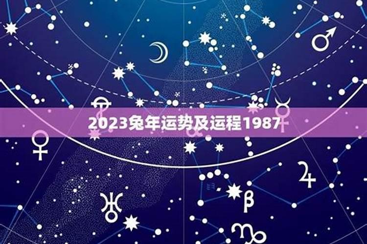 2022属兔的运势及运程详解