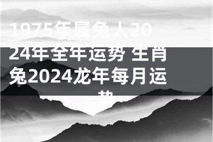 金木水火土12生肖大全