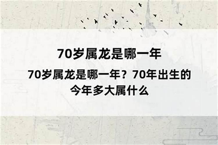 财源广进四九归是什么生肖最佳答案