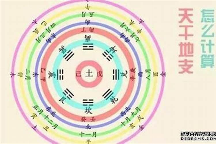 梦见扎头发的头绳