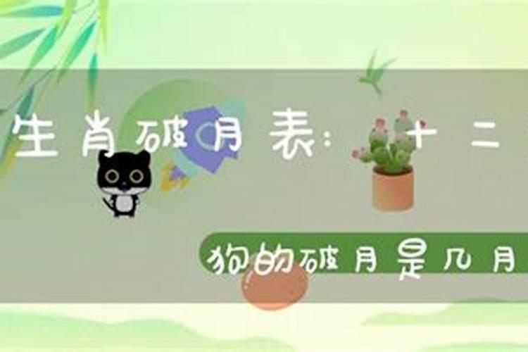 属狗的是不是6月份破月