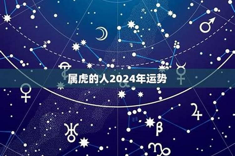 属龙人2024年运势运程感情