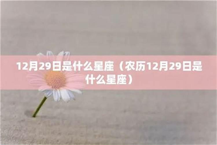 12月29是什么星座女