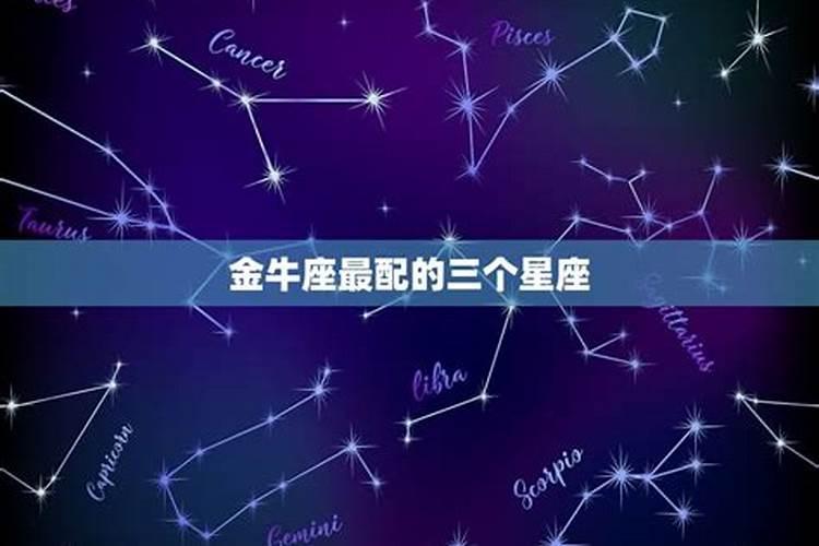 金牛座比较合的星座