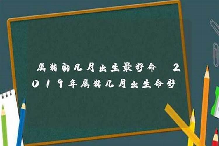 属猪几月份出生最好命