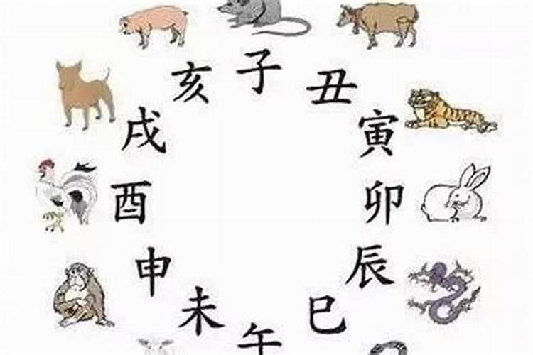 生肖是按照怀孕还是出生