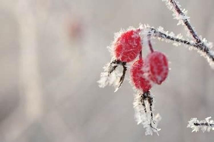 42岁属猴的今年命运怎么样呢