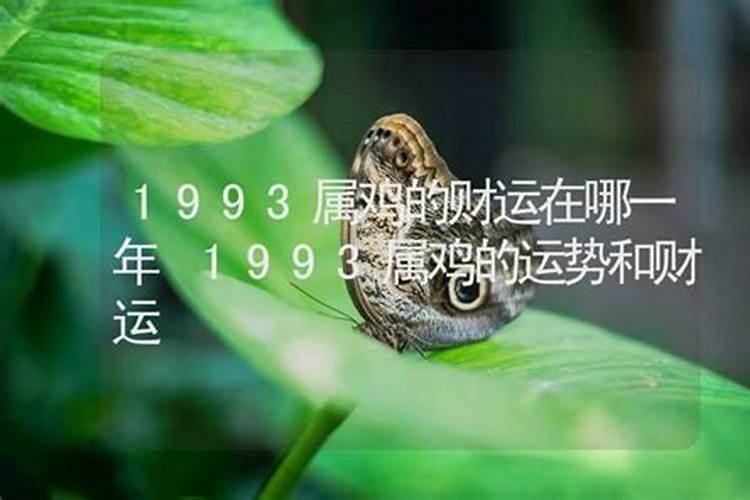 1993年出生的哪年运势好