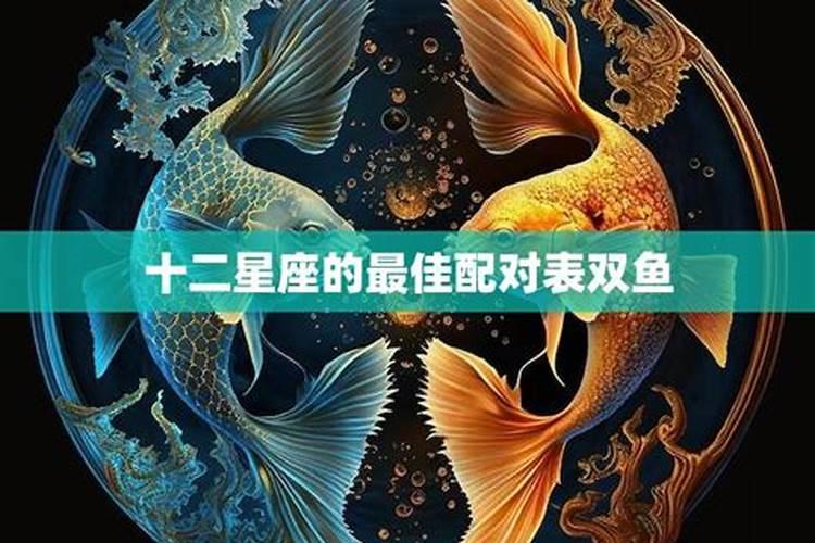 12星座和双鱼座分手概率