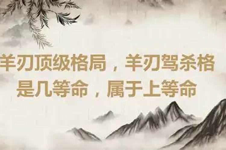 属马今年各月运程及运势