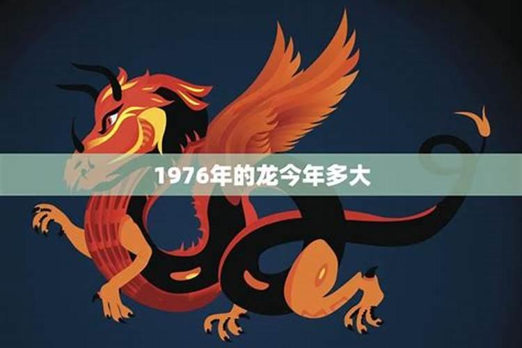 属龙今年多大2023年