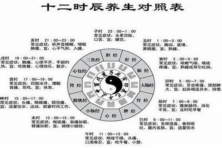 经常爱哭的动物是什么生肖