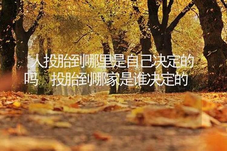 属蛇的人是什么座什么星座