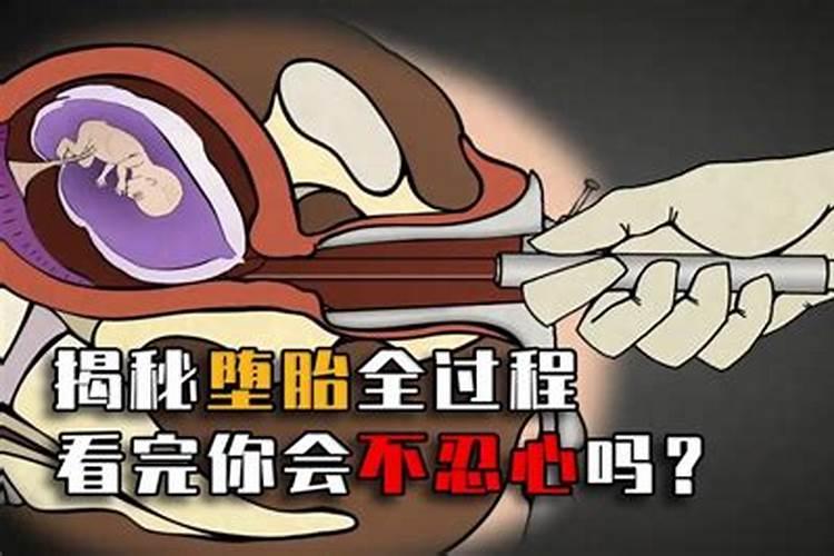 怎么查询今天属什么生肖