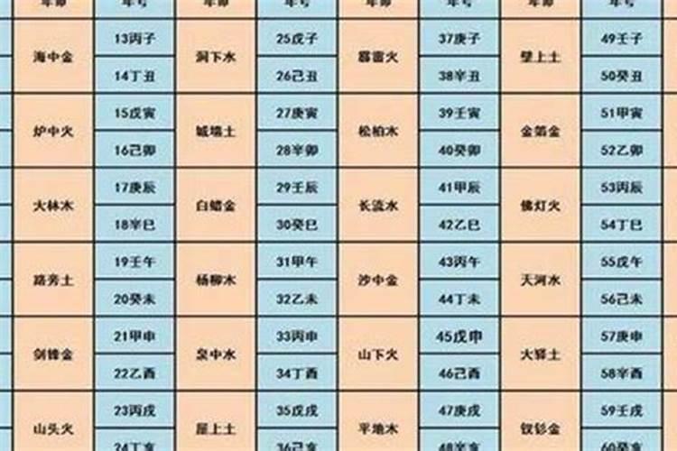 八字排盘的龙池是什么意思