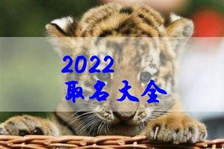 1996年出生2021年运势及运程