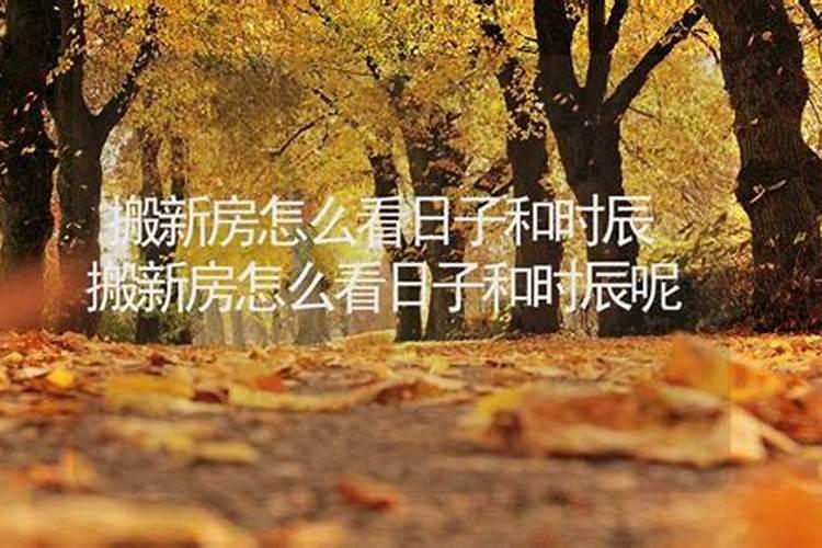 总是梦见回学校上学