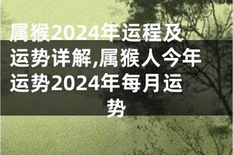 属猴1980年10月出生什么命