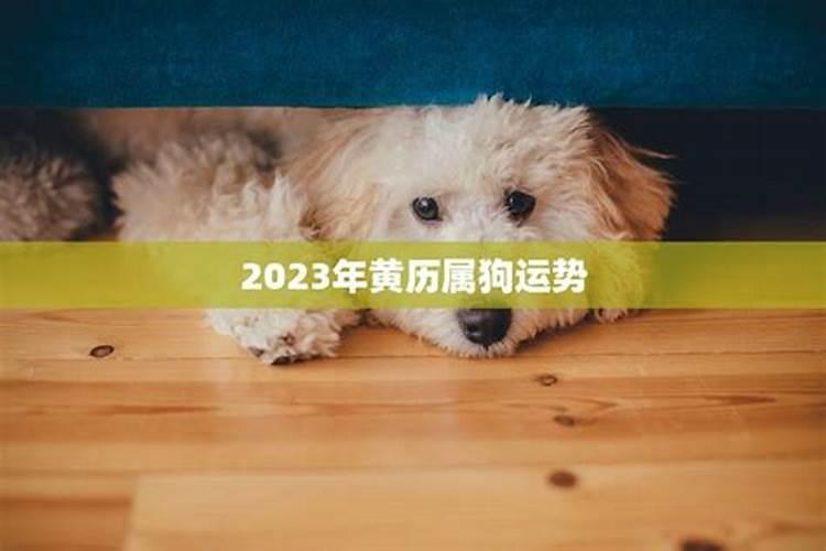 广东八月十五风俗是什么